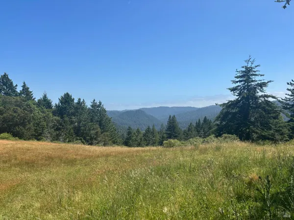 a view of an outdoor space and a yard