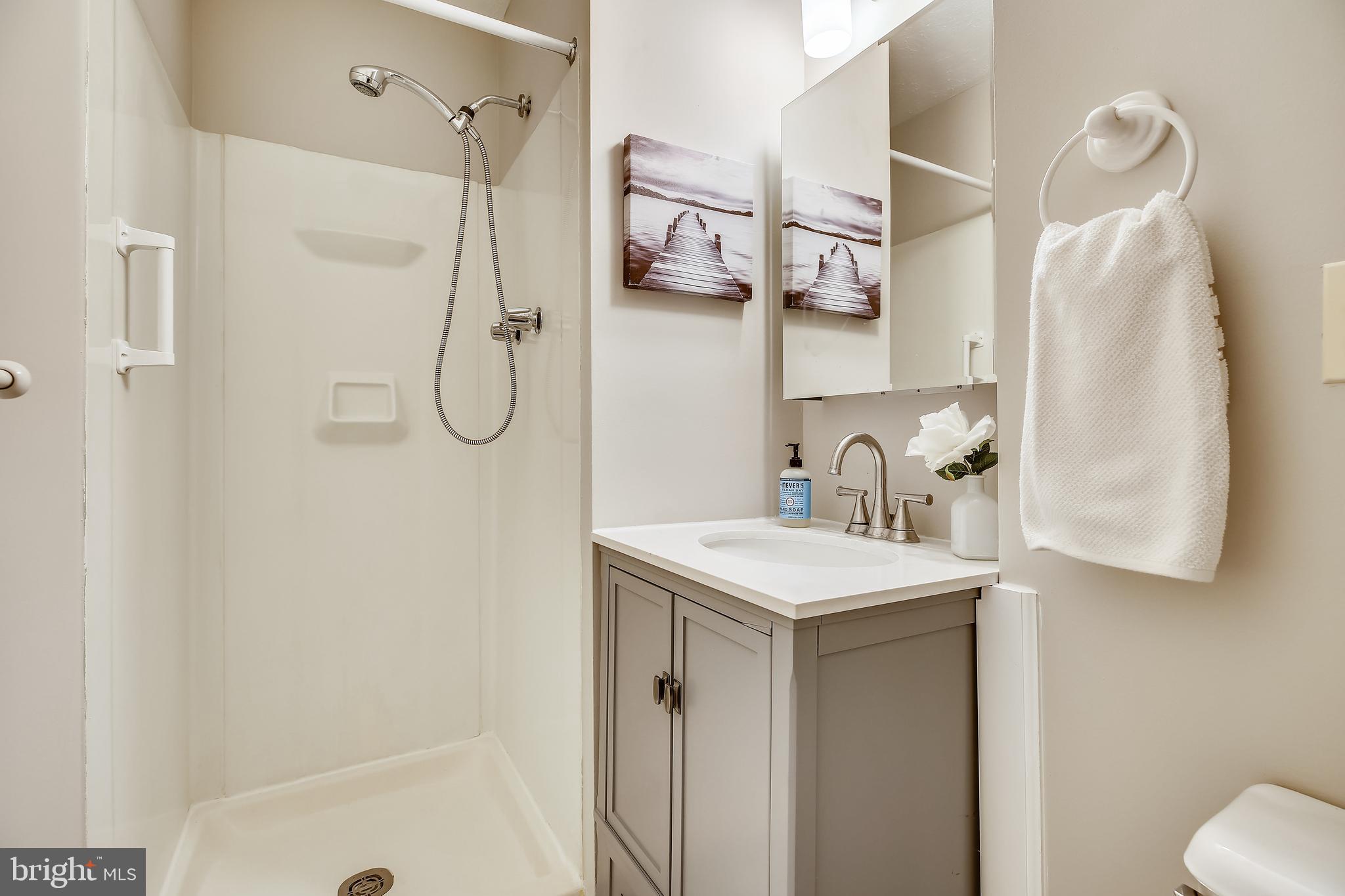 9125 Glenville Road Silver Spring, MD 20901 - Photo 24 of 53 Bath w/shower on lower level