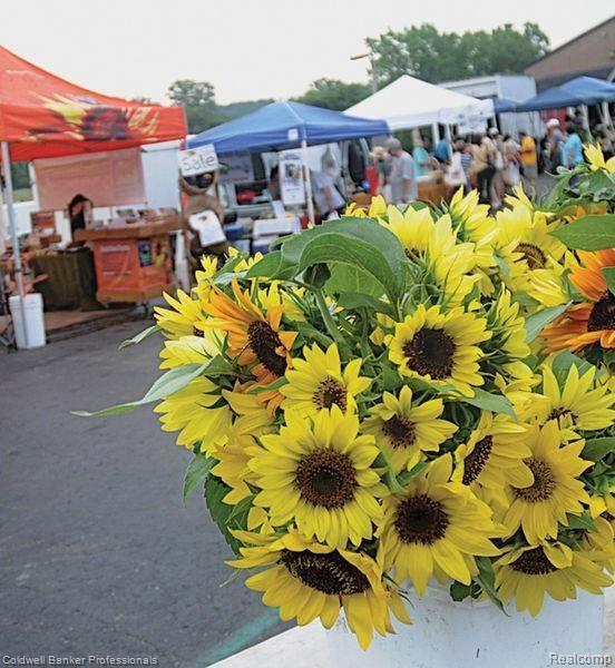 3173 Avon Manor Road Rochester, MI 48307 - Photo 18 of 23 Rochester Farmers Market