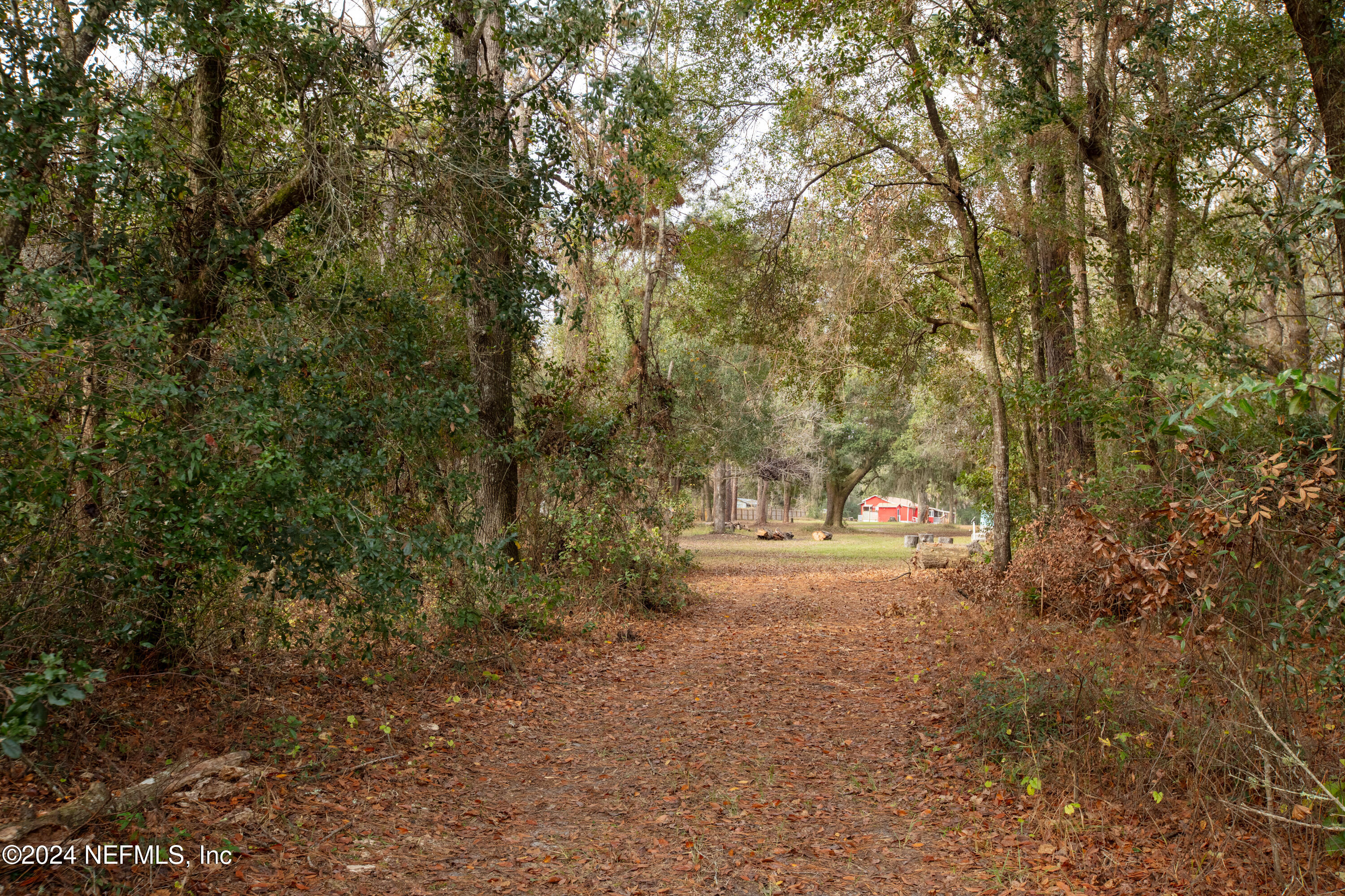 7401 Hall Lake Road Keystone Heights, FL 32656 - Photo 35 of 71 7401Halllake-28