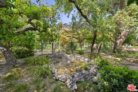 a view of a forest with trees