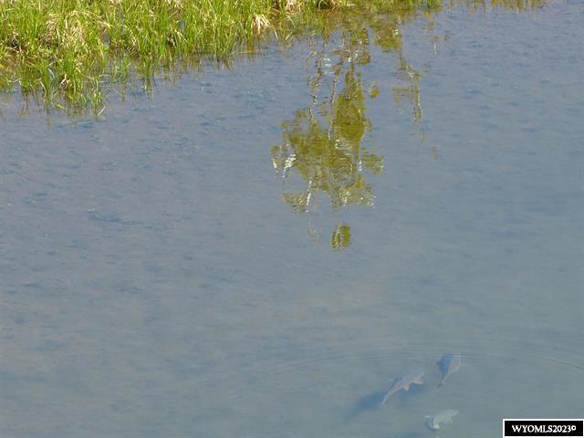 13 Peak View Lane Buffalo, WY 82834 - Photo 1 of 6 Fish