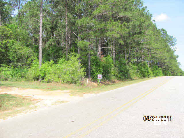 0 North Southworth Road North Summerdale, AL 36580 - Photo 1 of 2