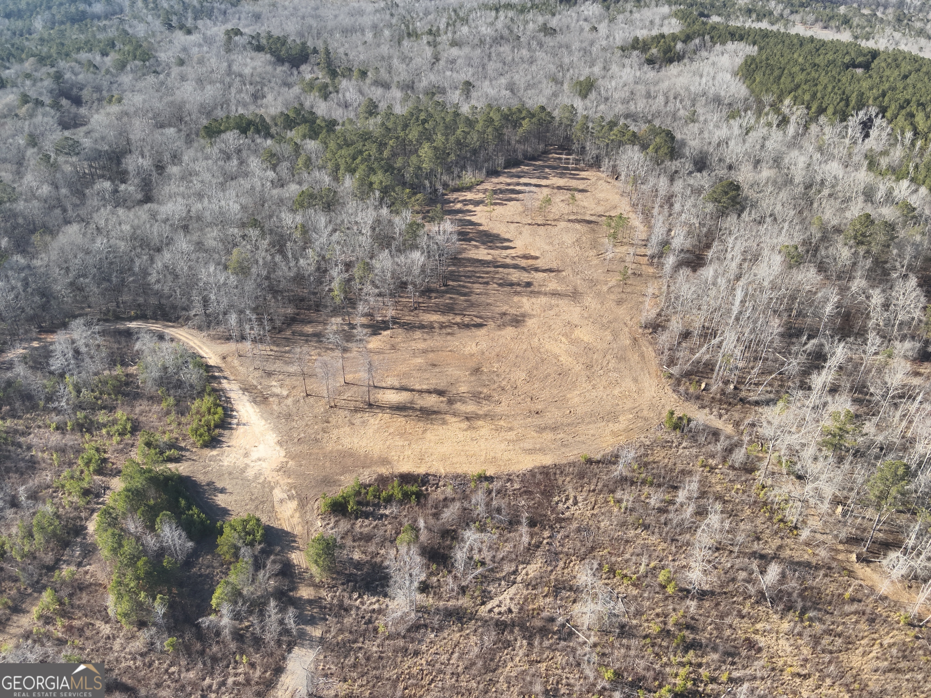 142 Wilson Way Musella, GA 31066 - Photo 12 of 39 a view of a dry yard covered with snow