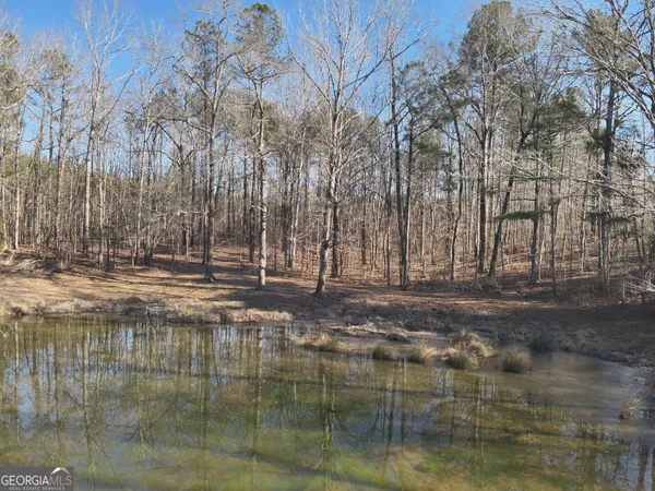 $851,200 | 142 Wilson Way, Musella, GA 31066