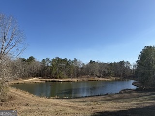 142 Wilson Way Musella, GA 31066 - Photo 16 of 39 a view of lake