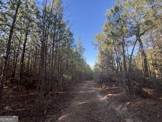 142 Wilson Way Musella, GA 31066 - Photo 20 of 39 a view of a yard