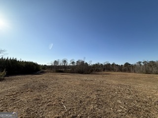 142 Wilson Way Musella, GA 31066 - Photo 21 of 39 a view of a field with trees in background