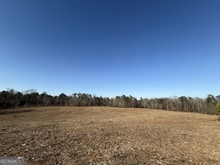 142 Wilson Way Musella, GA 31066 - Photo 22 of 39 a view of lake and mountain view