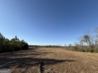 142 Wilson Way Musella, GA 31066 - Photo 25 of 39 a view of an ocean view