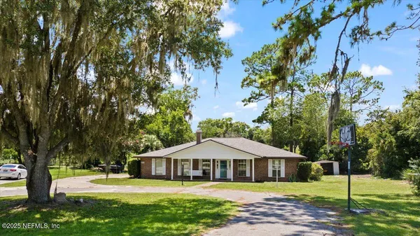 a living room with furniture rug and a potted plant