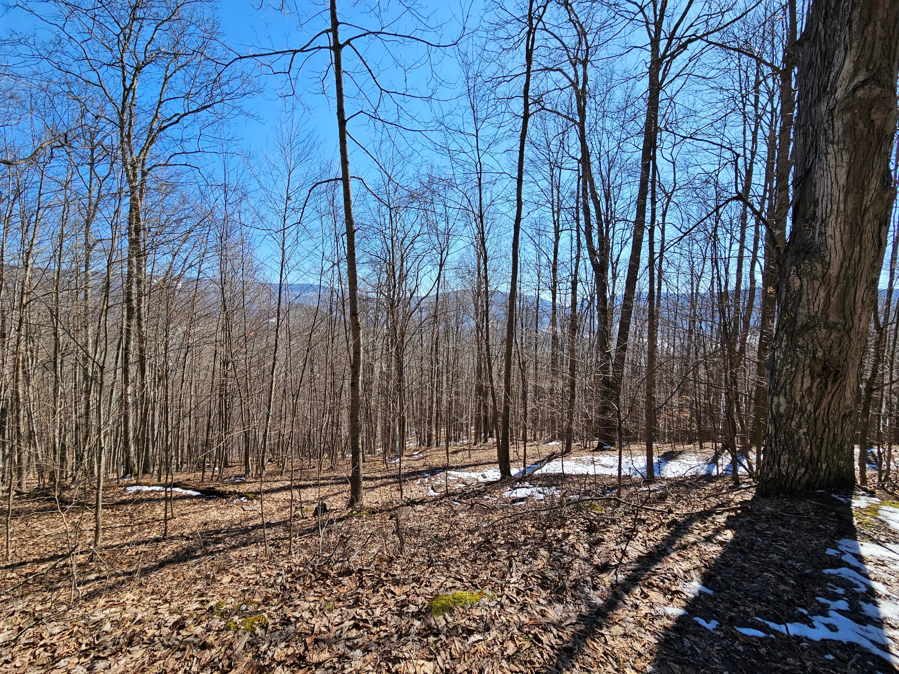 Lot 8 Upper Cherry Grove Road Slatyfork, WV 26291 - Photo 19 of 22 Gallery Image 19