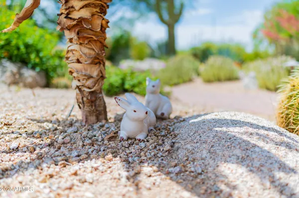 $10,000 | 8193 East Sand Flower Drive, Scottsdale, AZ 85266