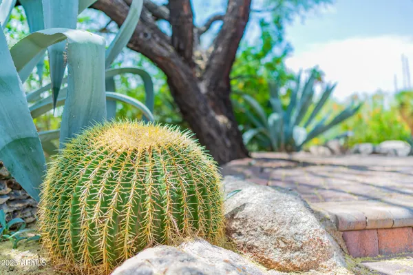 $10,000 | 8193 East Sand Flower Drive, Scottsdale, AZ 85266