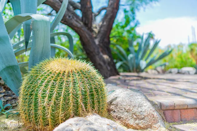 $12,000 | 8193 East Sand Flower Drive, Scottsdale, AZ 85266