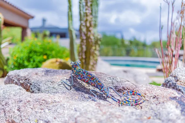 $10,000 | 8193 East Sand Flower Drive, Scottsdale, AZ 85266