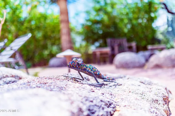 $10,000 | 8193 East Sand Flower Drive, Scottsdale, AZ 85266