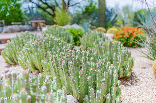 $12,000 | 8193 East Sand Flower Drive, Scottsdale, AZ 85266