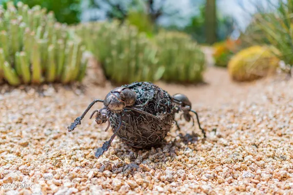 $10,000 | 8193 East Sand Flower Drive, Scottsdale, AZ 85266