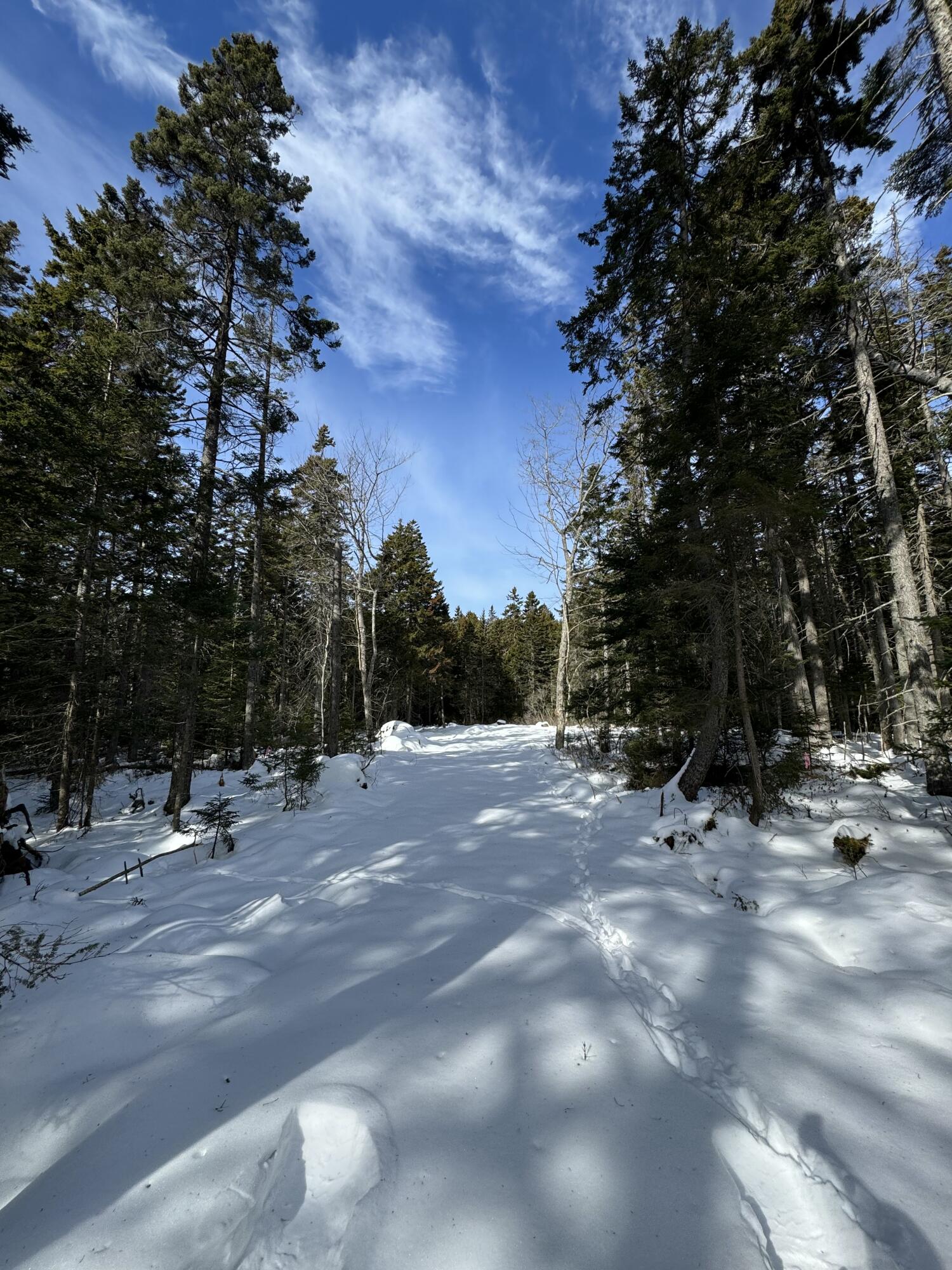 12 Jamestown Road Vinalhaven, ME 04863 - Photo 1 of 13 IMG_2906