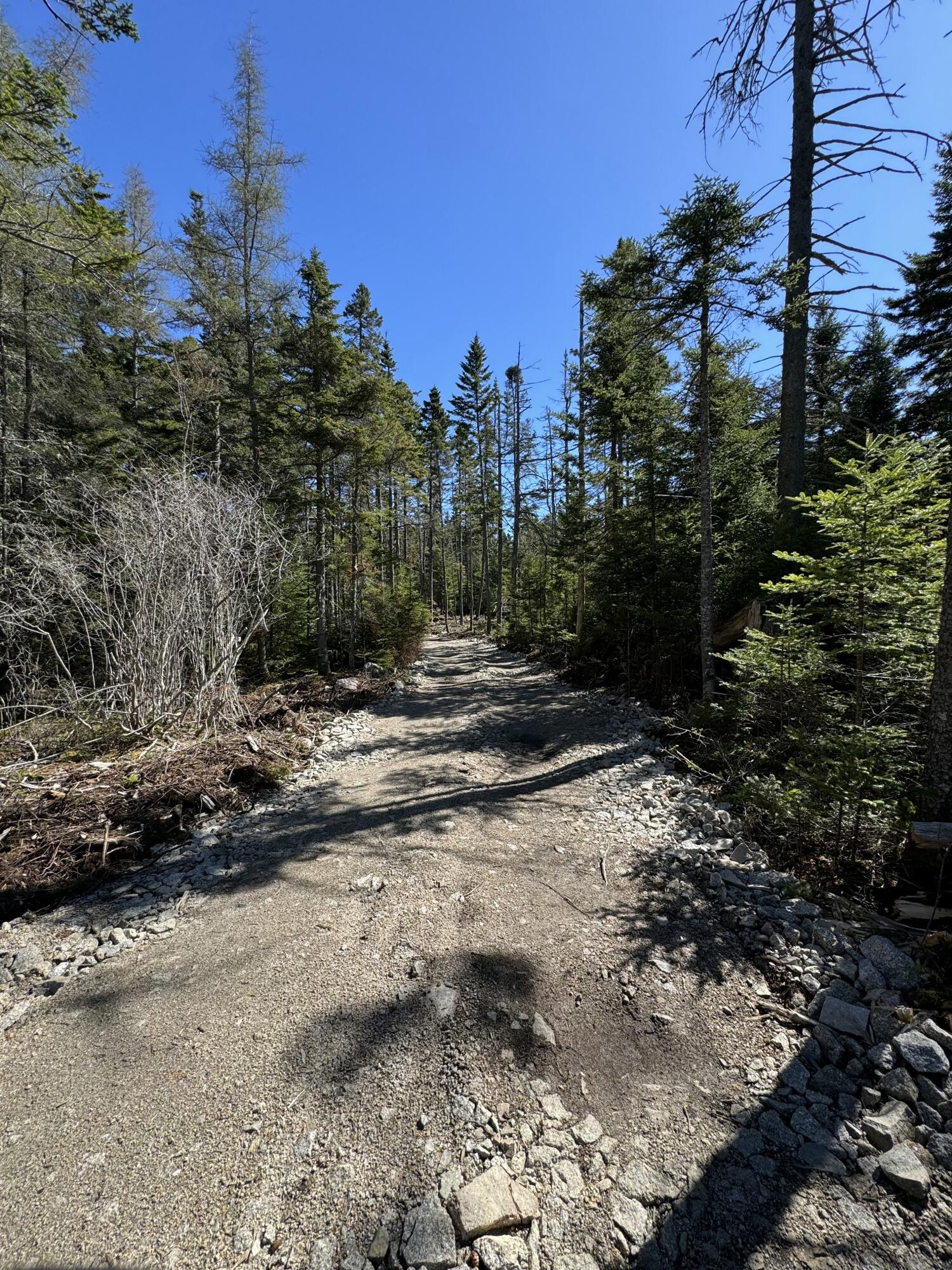 12 Jamestown Road Vinalhaven, ME 04863 - Photo 11 of 13 IMG_5763