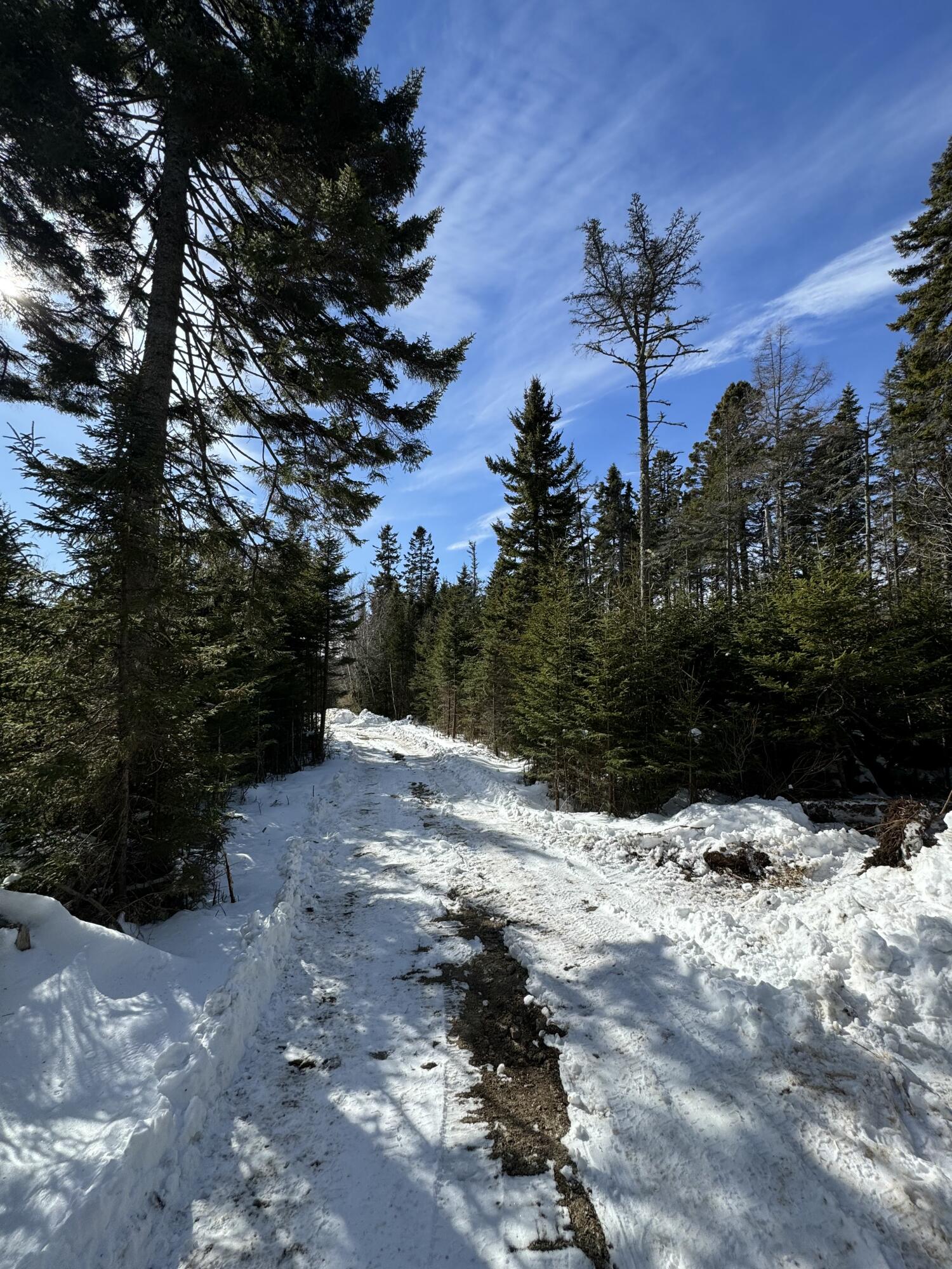 12 Jamestown Road Vinalhaven, ME 04863 - Photo 13 of 13 IMG_2920