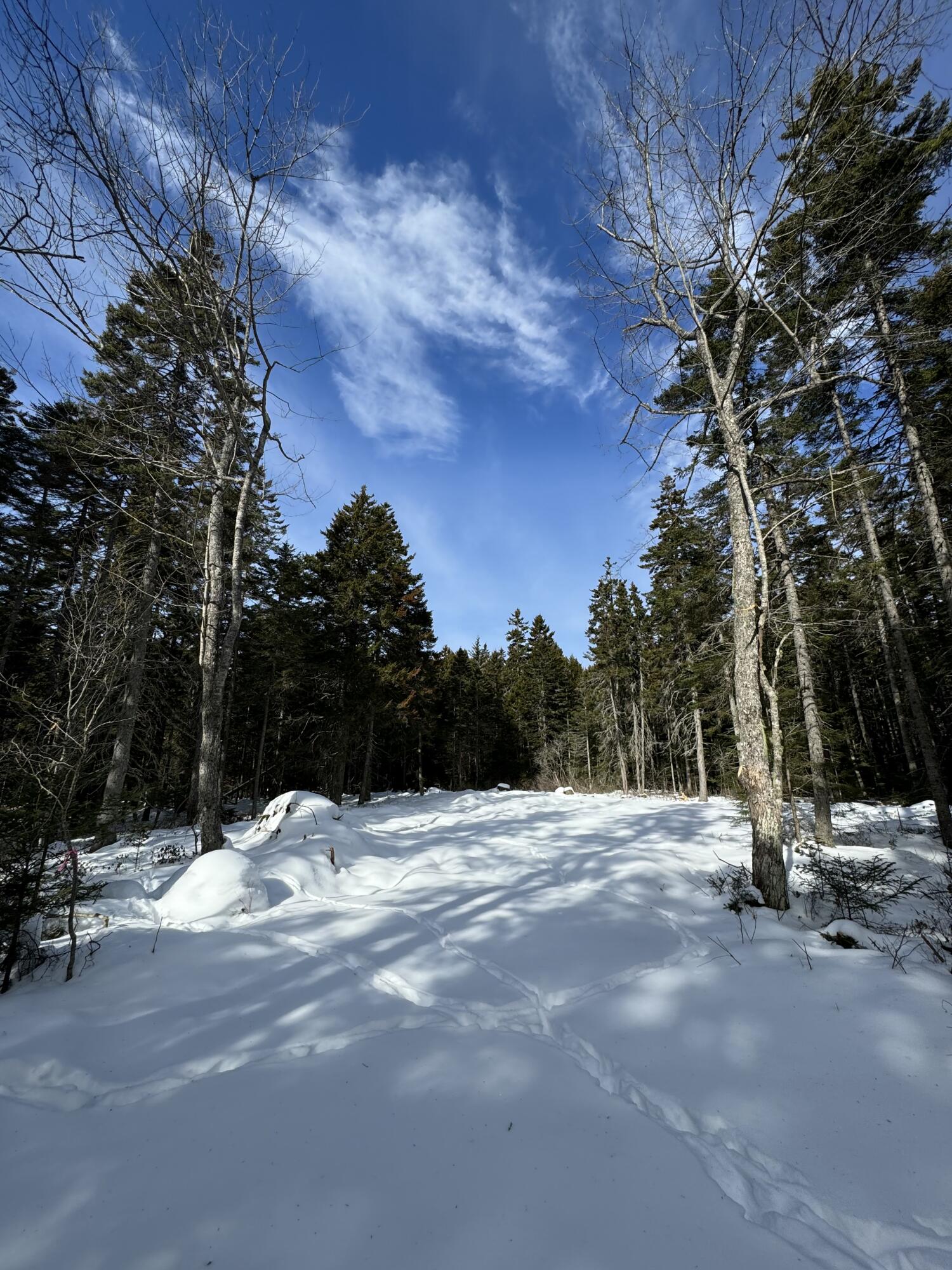 12 Jamestown Road Vinalhaven, ME 04863 - Photo 2 of 13 IMG_2907