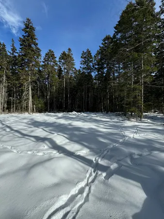 $98,000 | 12 Jamestown Road, Vinalhaven, ME 04863