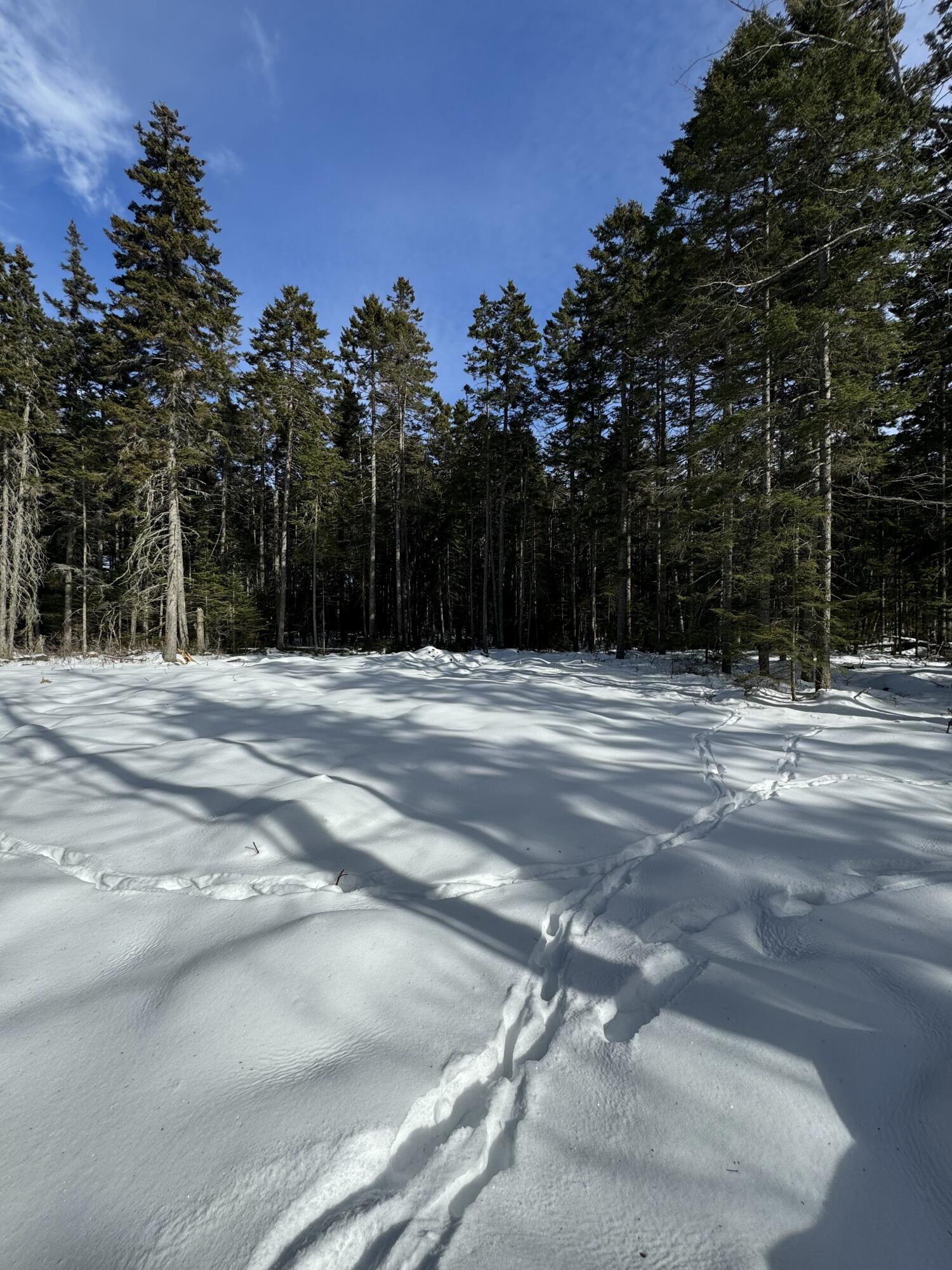 12 Jamestown Road Vinalhaven, ME 04863 - Photo 3 of 13 IMG_2908