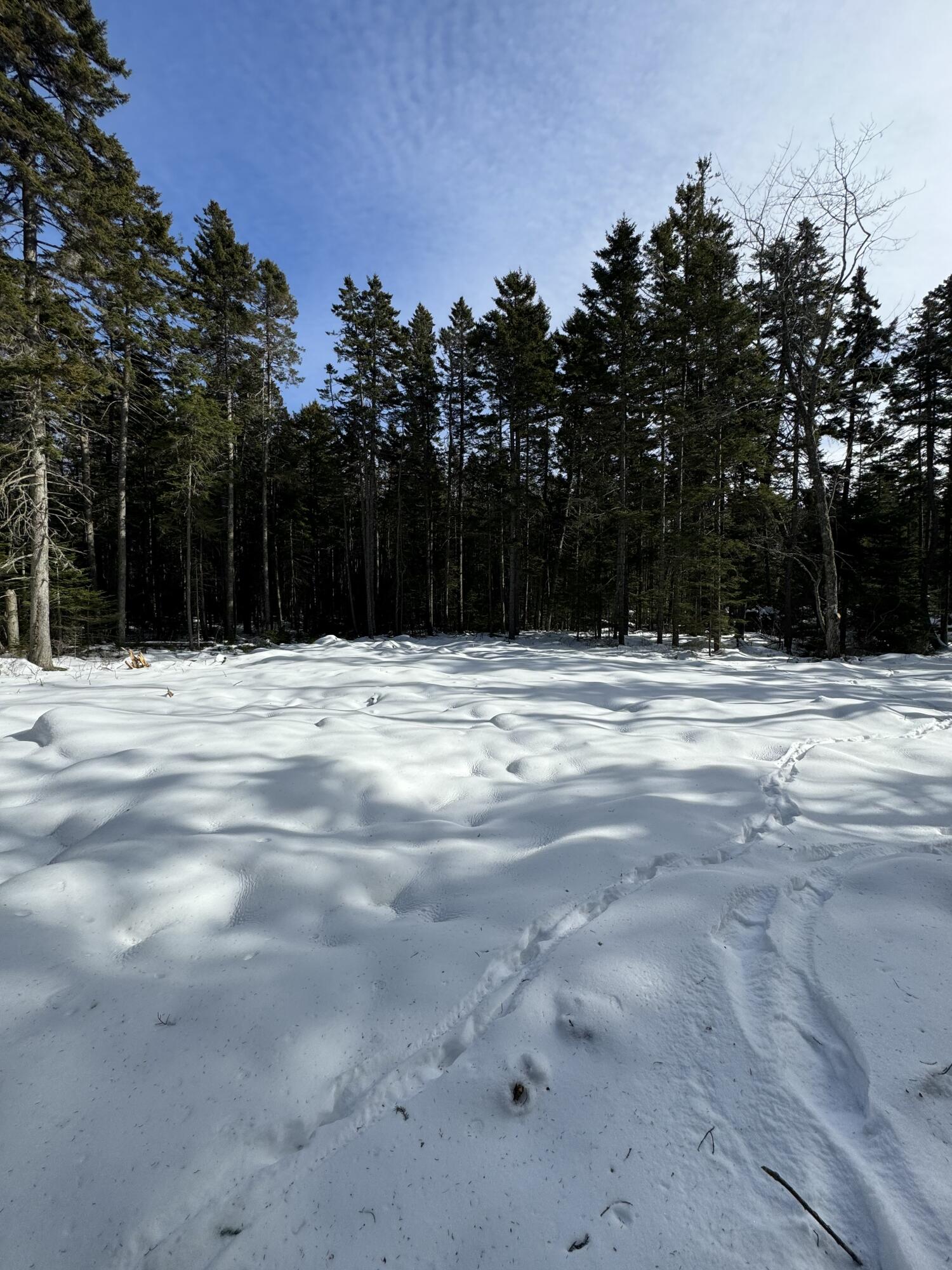 12 Jamestown Road Vinalhaven, ME 04863 - Photo 4 of 13 IMG_2909