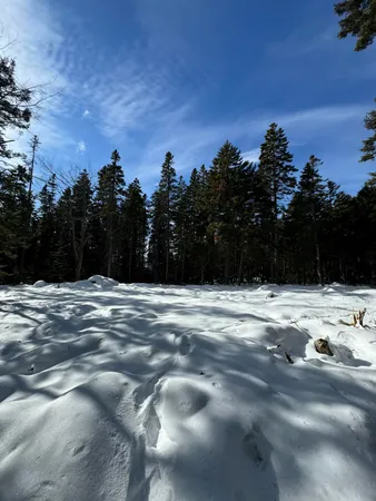 $98,000 | 12 Jamestown Road, Vinalhaven, ME 04863