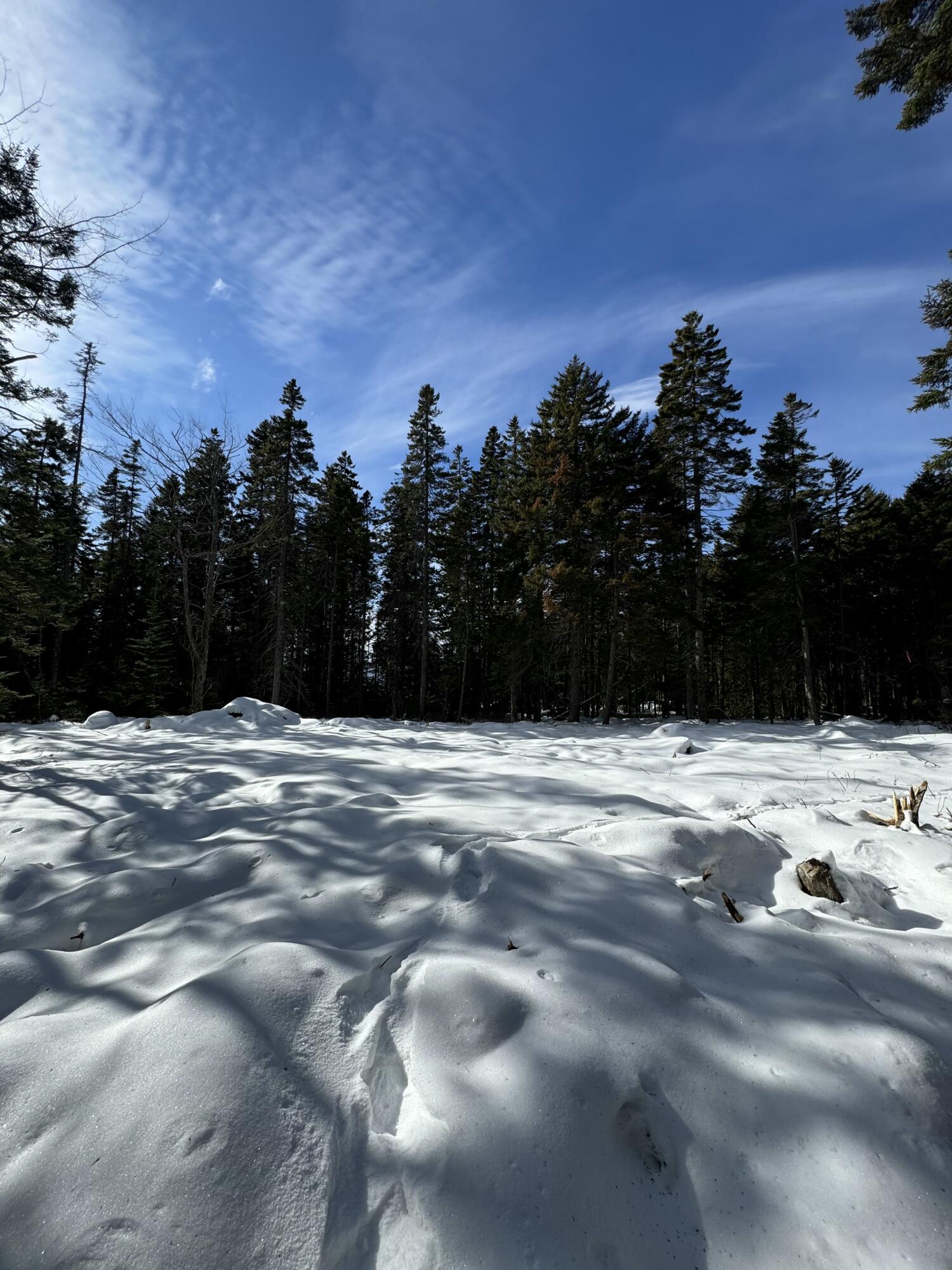 12 Jamestown Road Vinalhaven, ME 04863 - Photo 6 of 13 IMG_2913