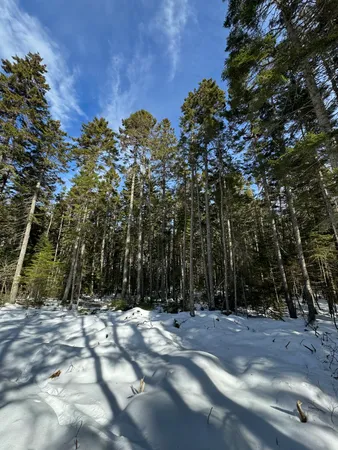 $98,000 | 12 Jamestown Road, Vinalhaven, ME 04863