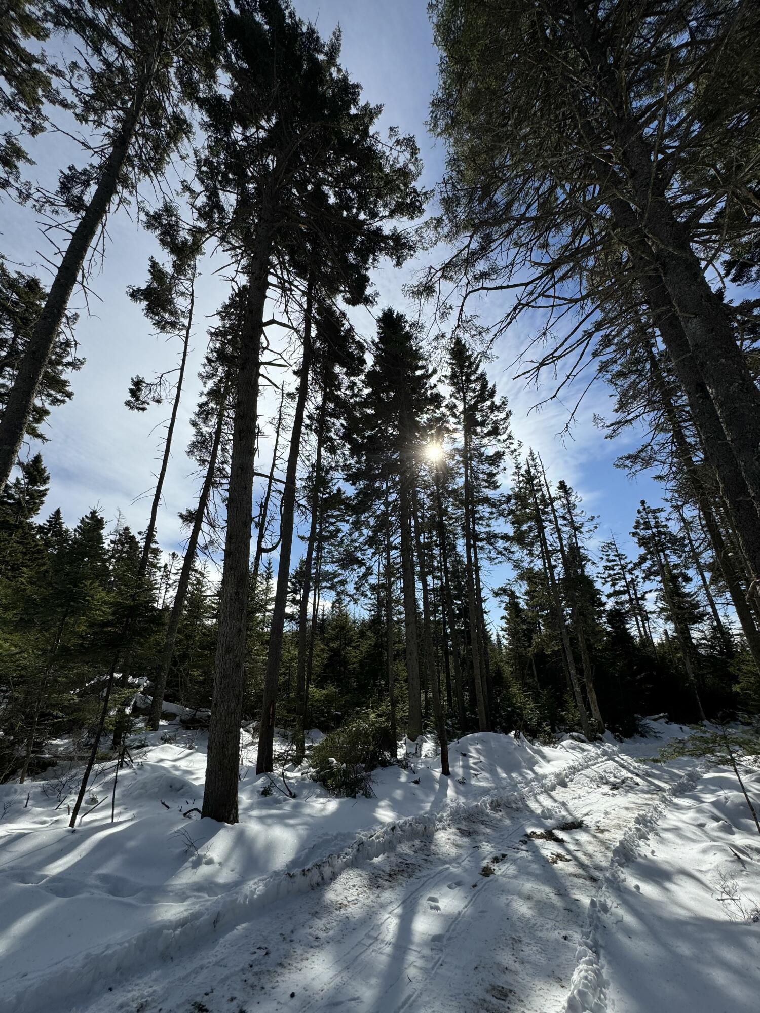 12 Jamestown Road Vinalhaven, ME 04863 - Photo 10 of 13 IMG_2917