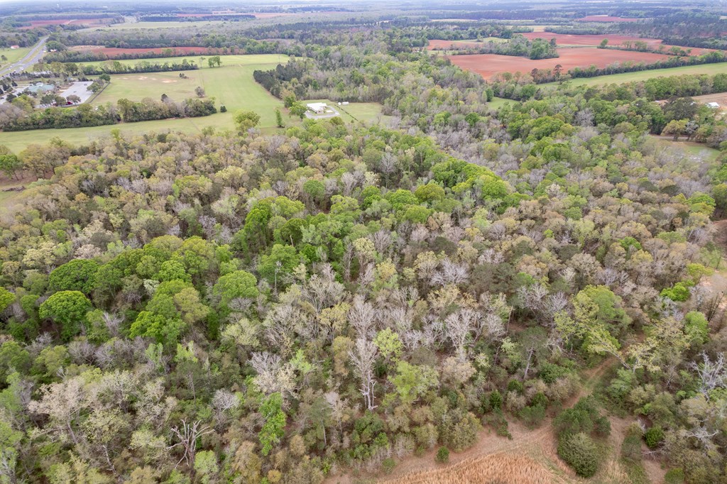 3-acres Singletary Road Slocomb, AL 36375 - Photo 14 of 15