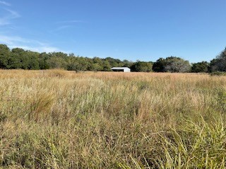 238 Narrows Road, Unit 83 Blanco, TX 78606 - Photo 16 of 30 Gallery Image 16
