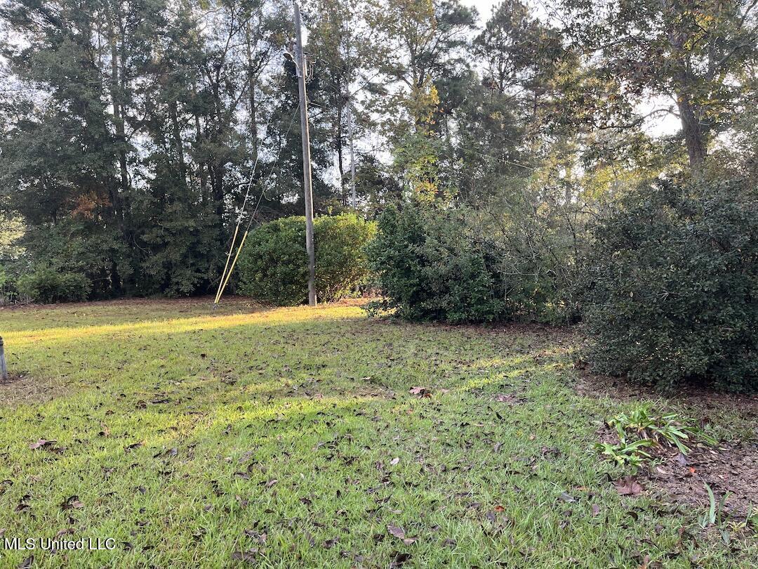 1296 King Bee Road Perkinston, MS 39573 - Photo 22 of 26 IMG_0482