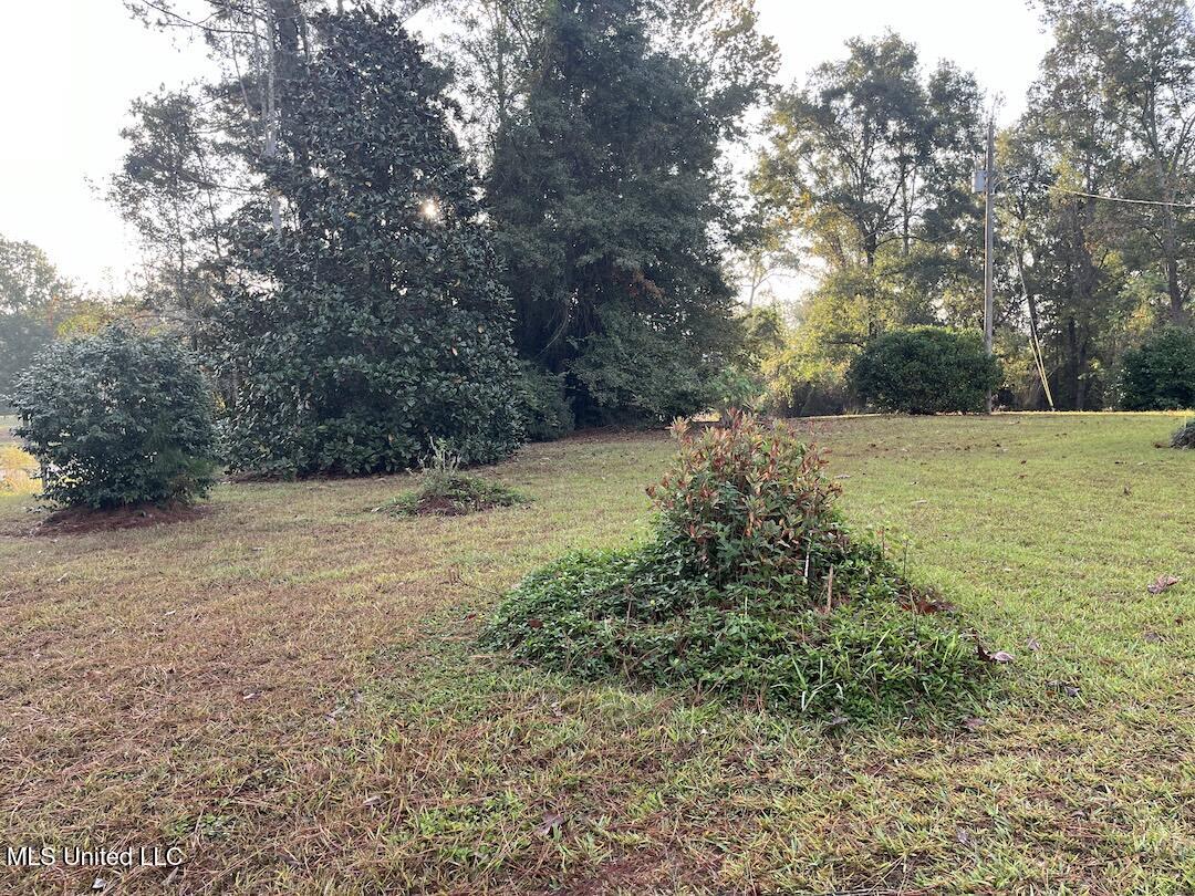 1296 King Bee Road Perkinston, MS 39573 - Photo 23 of 26 IMG_0478