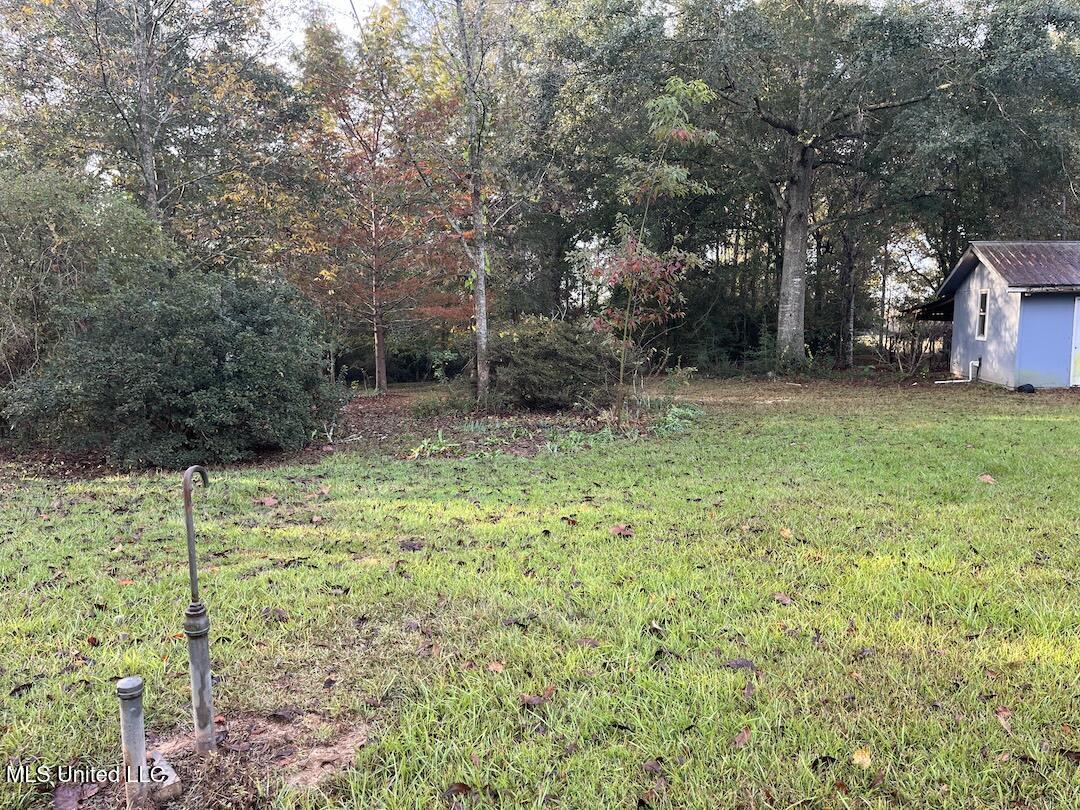 1296 King Bee Road Perkinston, MS 39573 - Photo 25 of 26 IMG_0480