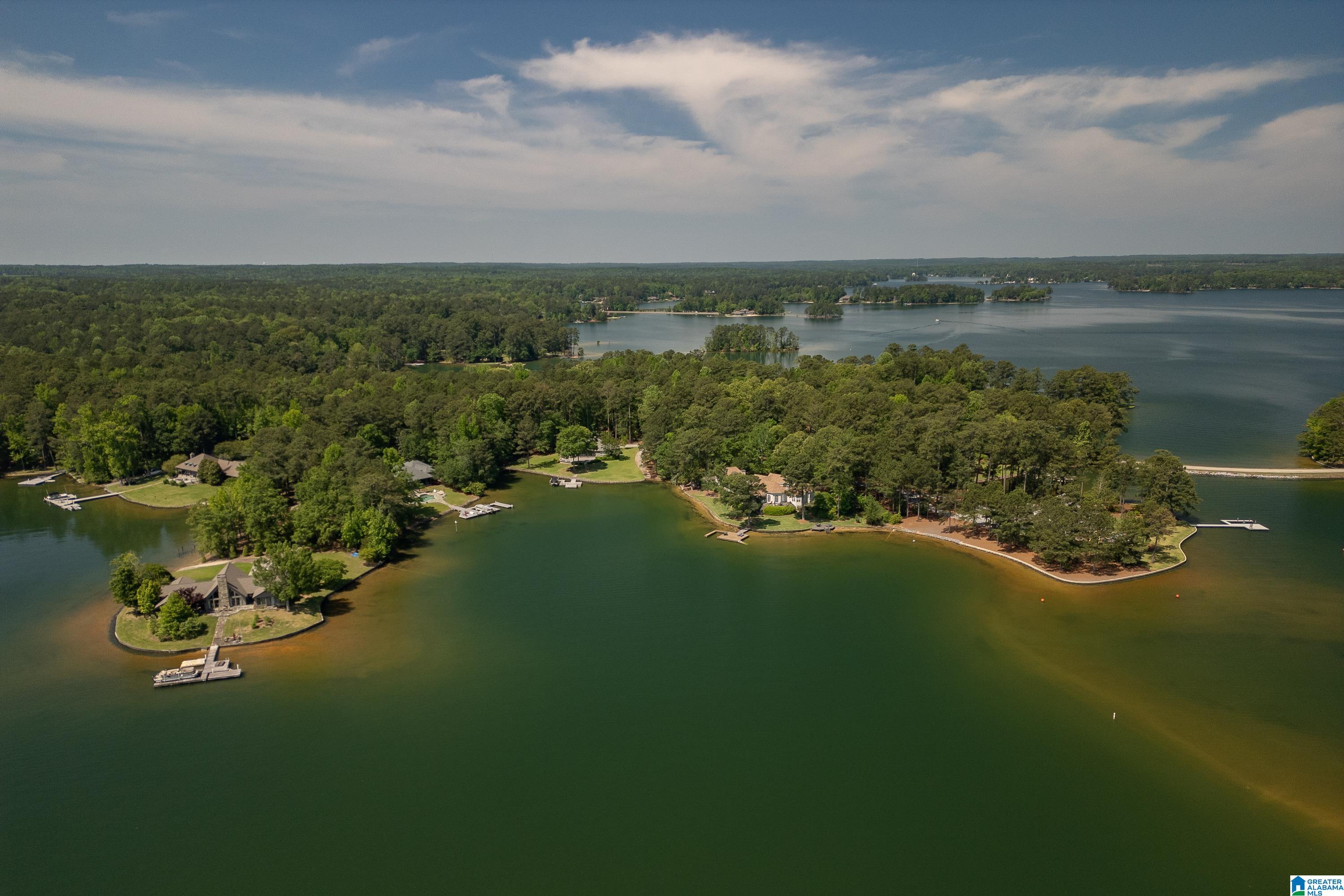 700 Trillium Drive Eclectic, AL 36024 - Photo 90 of 97