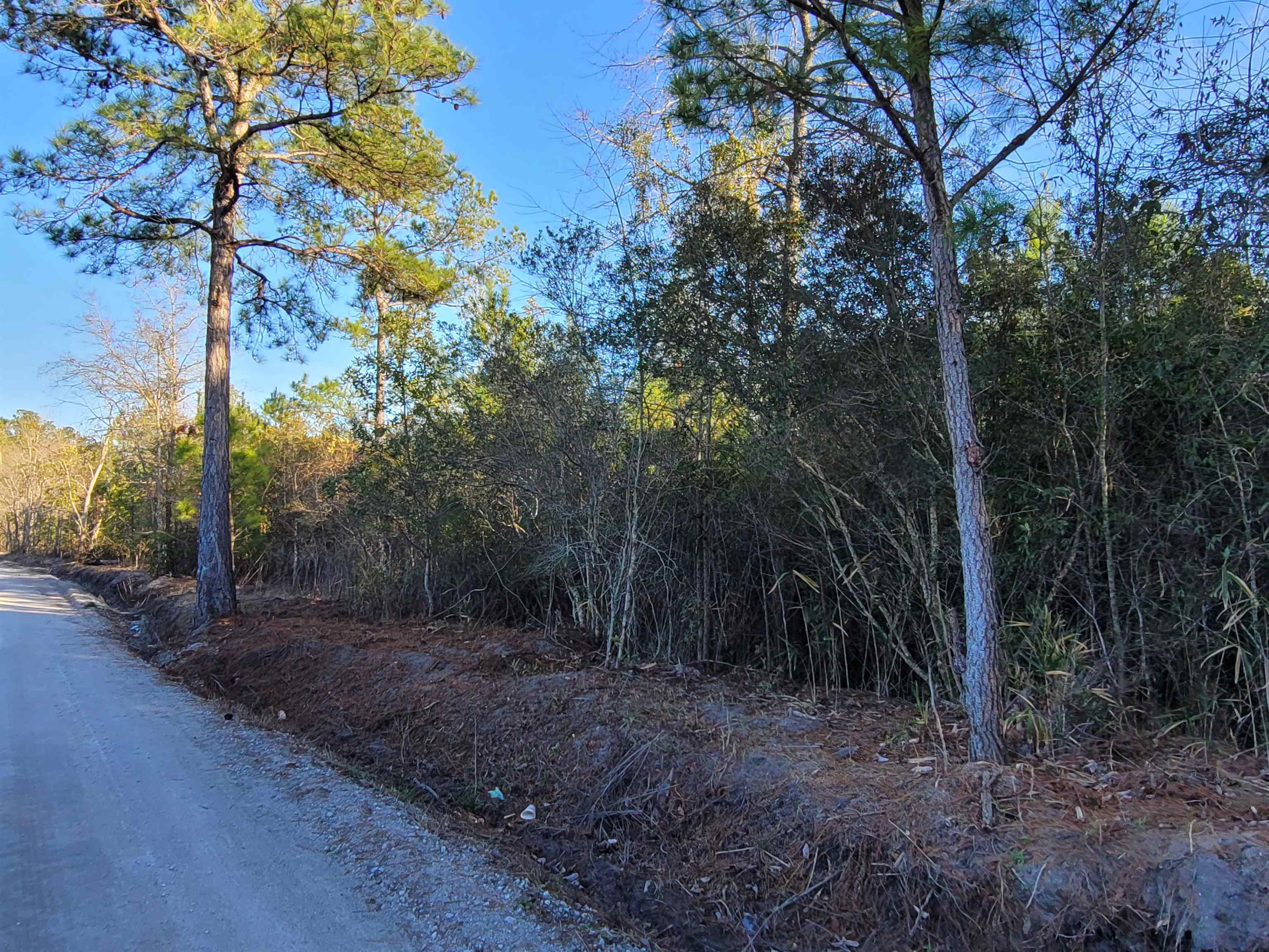 Tbd Lot 4 Tbd Road Loris, SC 29569 - Photo 4 of 9