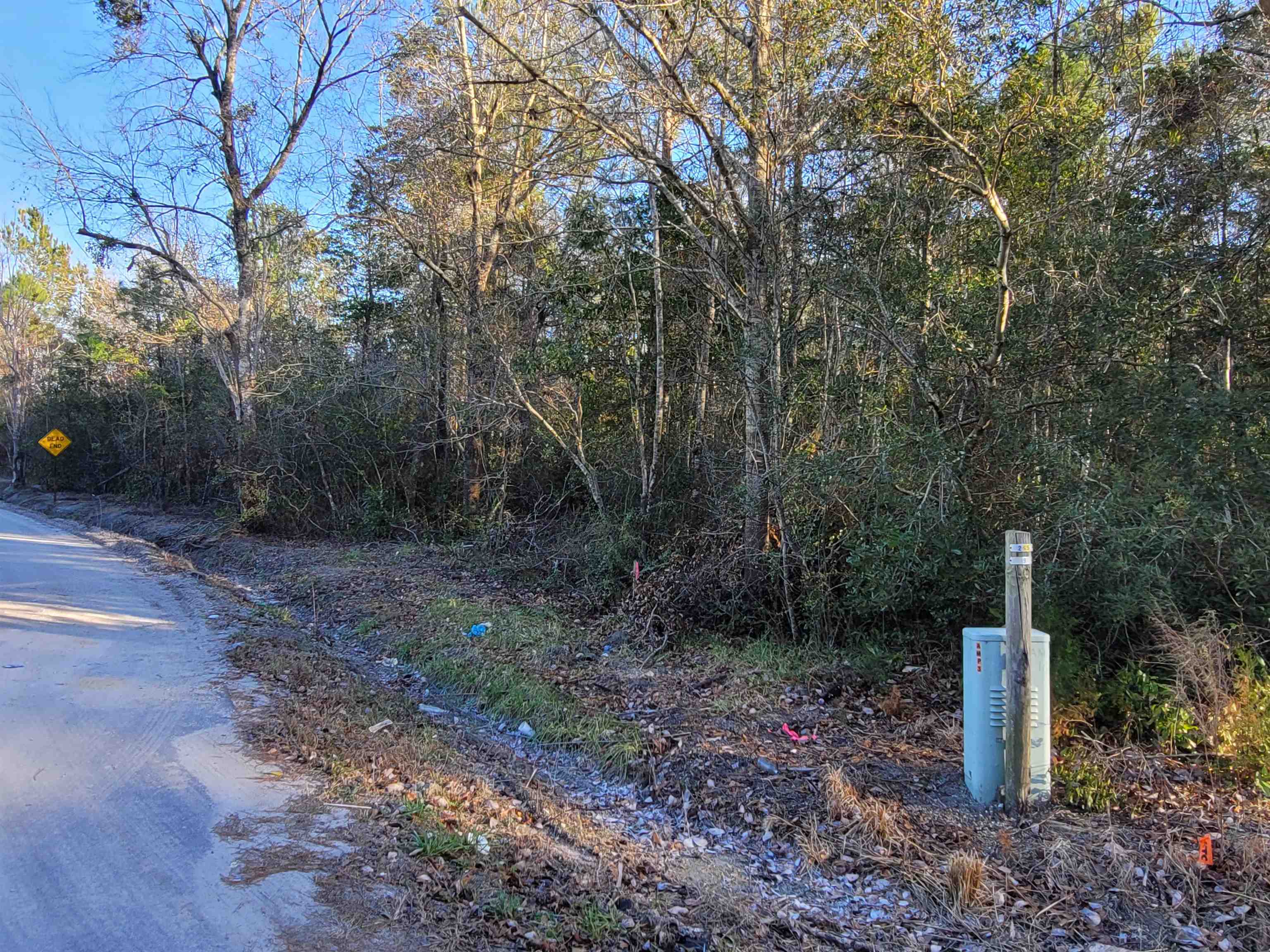 Tbd Lot 4 Tbd Road Loris, SC 29569 - Photo 6 of 9