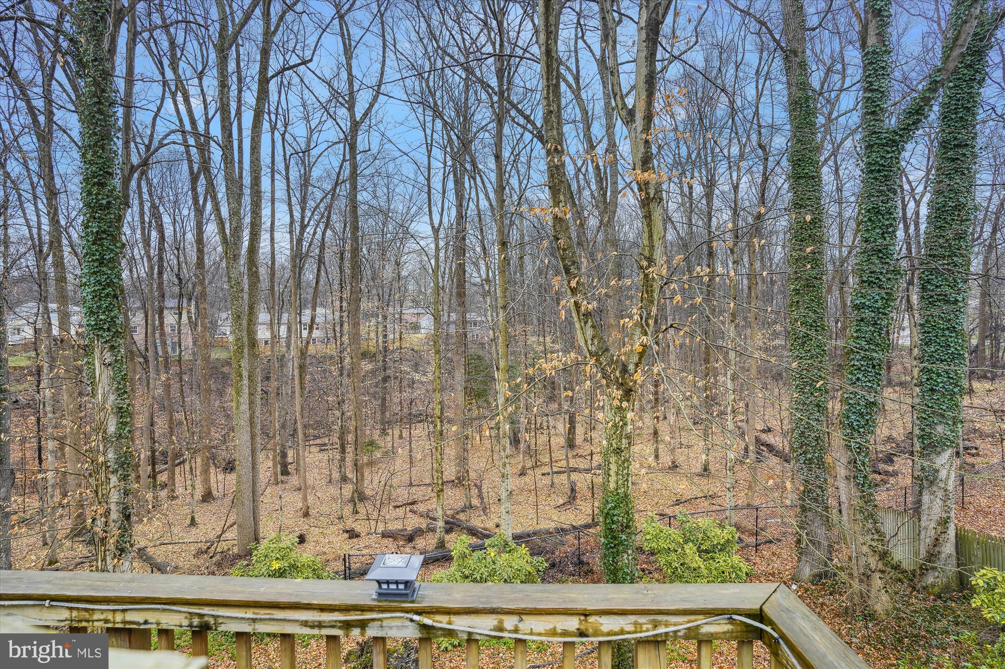7115 Hadlow Court Springfield, VA 22152 - Photo 32 of 45 Back View from Deck
