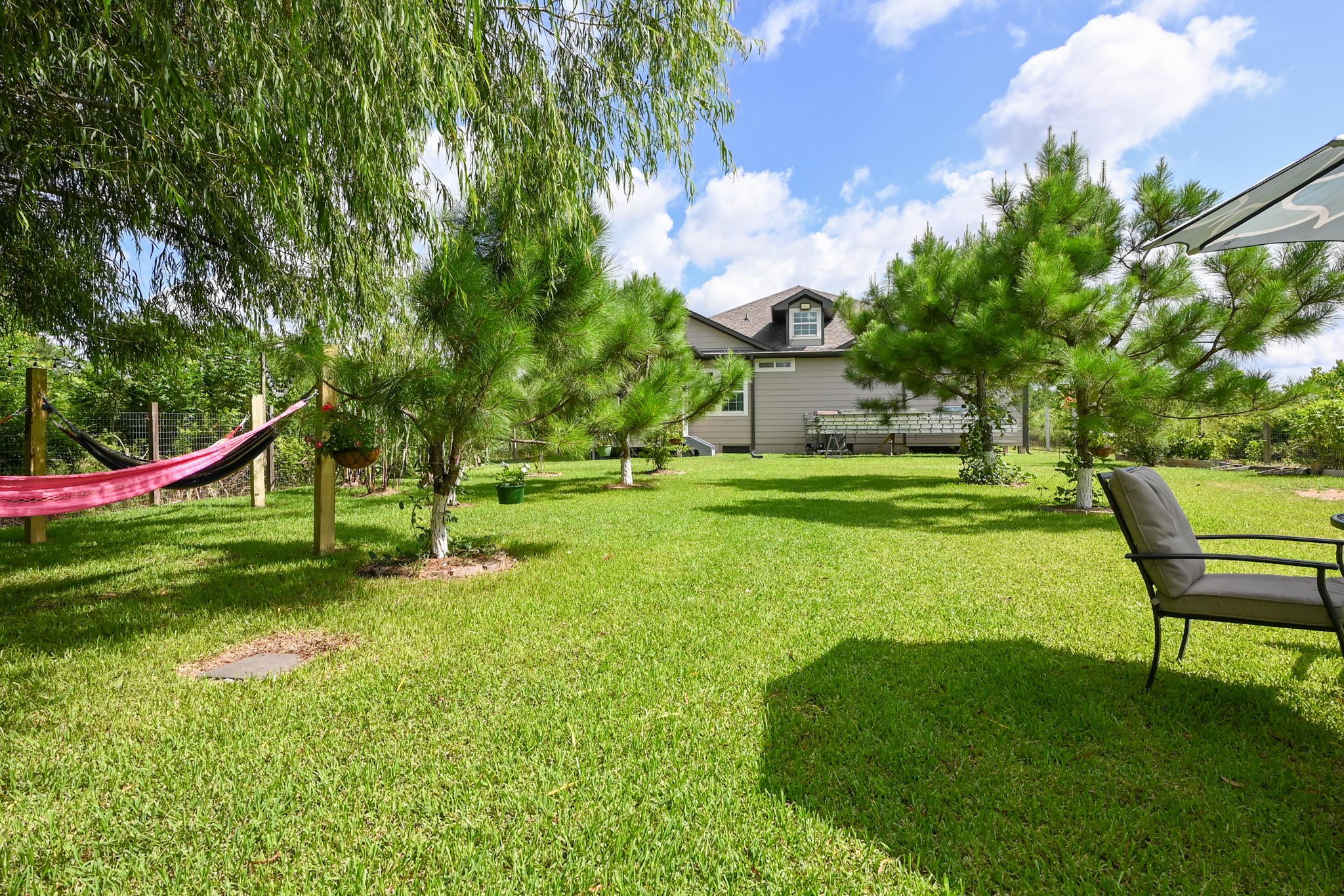 1229 County Road 2209N Cleveland, TX 77327 - Photo 38 of 43 a view of a park with large trees
