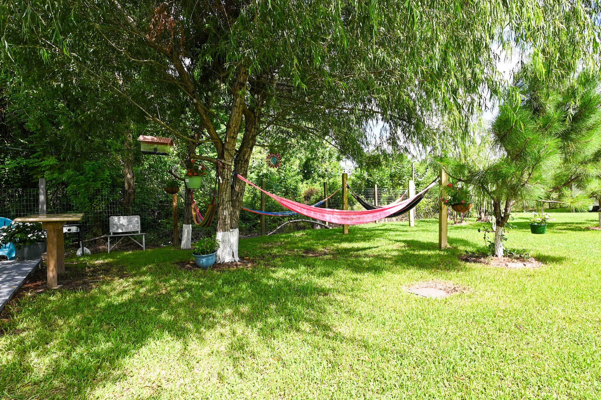 1229 County Road 2209N Cleveland, TX 77327 - Photo 39 of 43 a view of a park with large trees