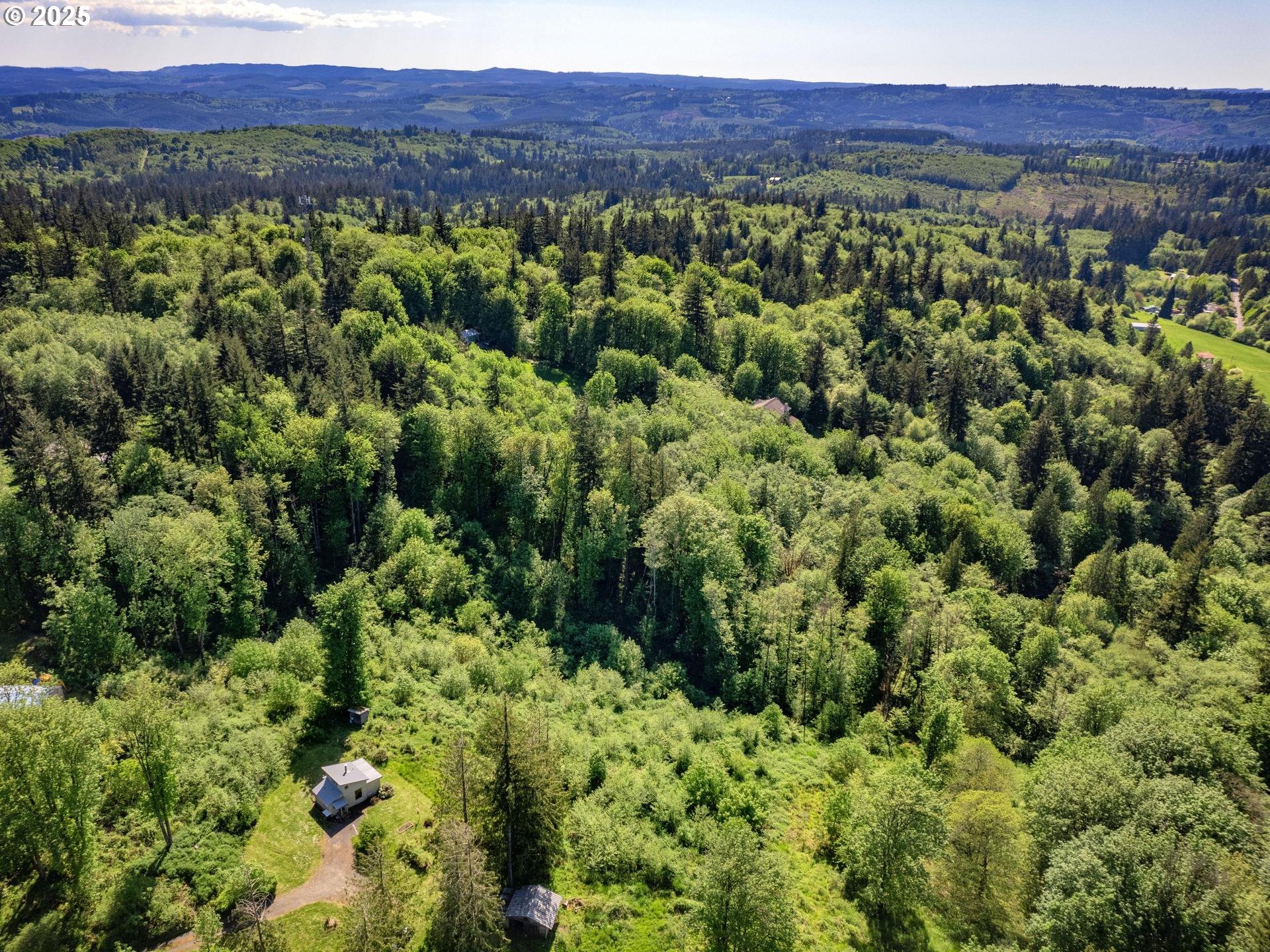 Highland Road Rainier, OR 97048 - Photo 8 of 9 a view of a lush green forest with trees and some houses