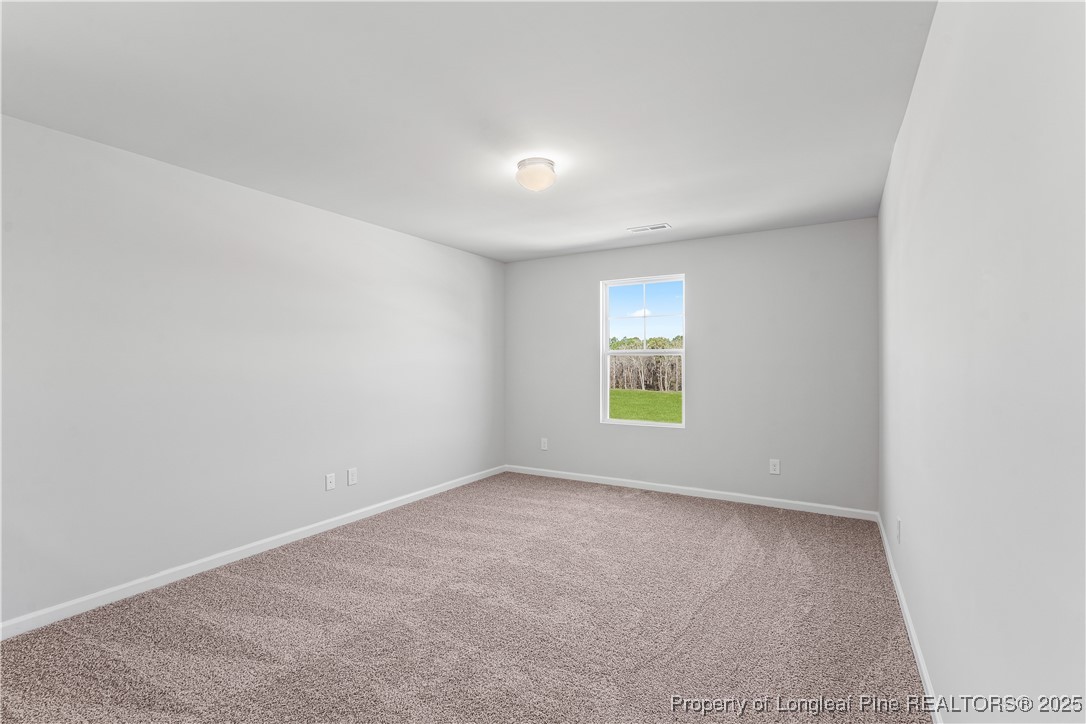 193 Deep River Road Raeford, NC 28376 - Photo 21 of 35 Gallery Image 21