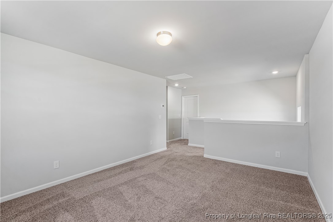 193 Deep River Road Raeford, NC 28376 - Photo 22 of 35 Gallery Image 22