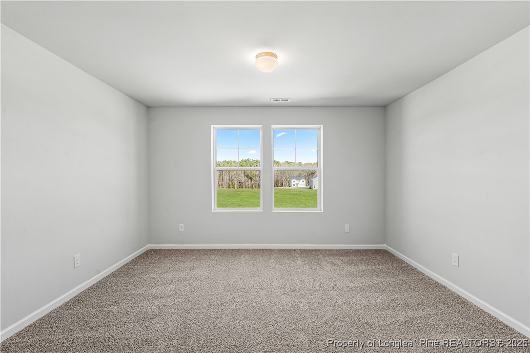193 Deep River Road Raeford, NC 28376 - Photo 23 of 35 Gallery Image 23