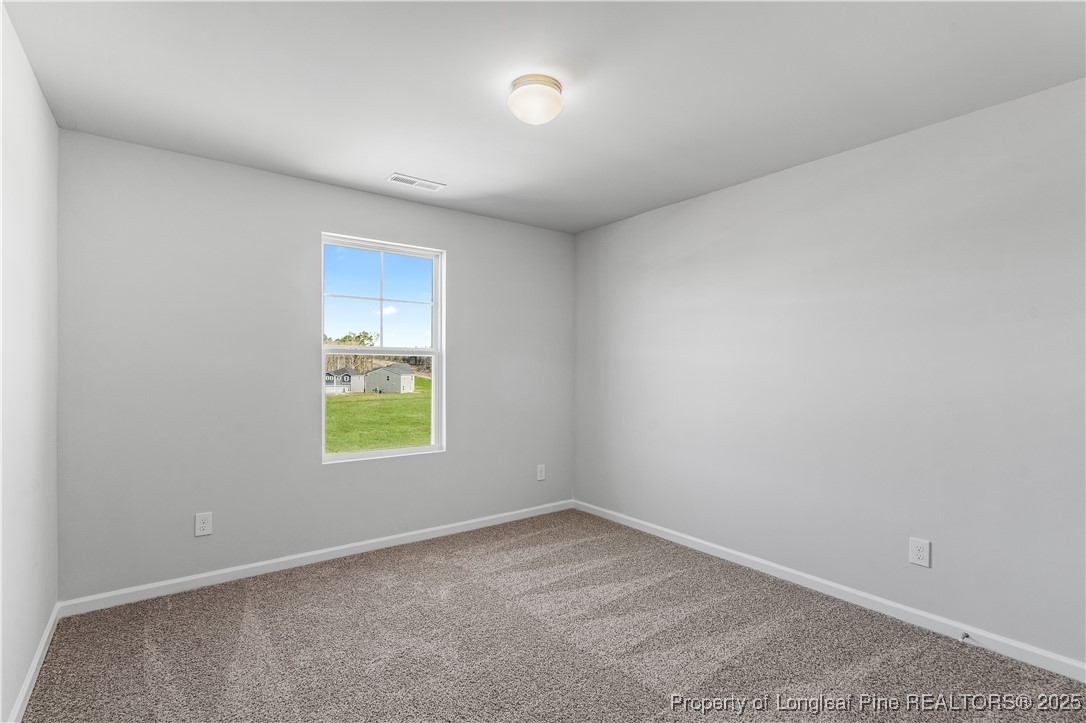 193 Deep River Road Raeford, NC 28376 - Photo 24 of 35 Gallery Image 24